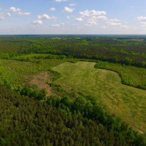 Photo of UNDER CONTRACT!  102 Acres of Hunting Land For Sale in Halifax County NC!