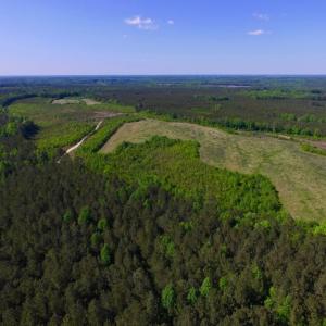 Photo of UNDER CONTRACT!  102 Acres of Hunting Land For Sale in Halifax County NC!
