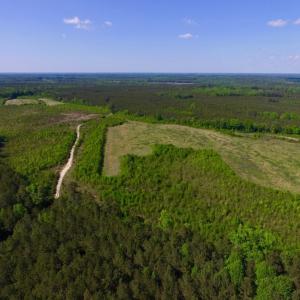 Photo of UNDER CONTRACT!  102 Acres of Hunting Land For Sale in Halifax County NC!