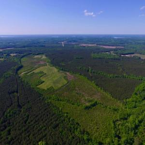 Photo of UNDER CONTRACT!  102 Acres of Hunting Land For Sale in Halifax County NC!