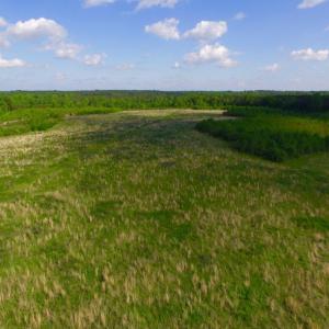 Photo of UNDER CONTRACT!  102 Acres of Hunting Land For Sale in Halifax County NC!