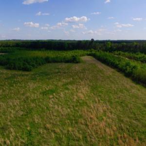 Photo of UNDER CONTRACT!  102 Acres of Hunting Land For Sale in Halifax County NC!