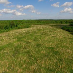 Photo of UNDER CONTRACT!  102 Acres of Hunting Land For Sale in Halifax County NC!