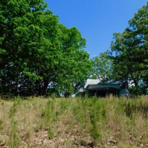 Photo of UNDER CONTRACT!  102 Acres of Hunting Land For Sale in Halifax County NC!