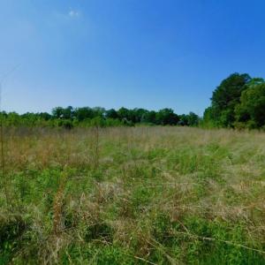 Photo of UNDER CONTRACT!  102 Acres of Hunting Land For Sale in Halifax County NC!