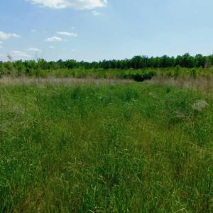 Photo of UNDER CONTRACT!  102 Acres of Hunting Land For Sale in Halifax County NC!