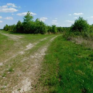 Photo of UNDER CONTRACT!  102 Acres of Hunting Land For Sale in Halifax County NC!