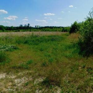 Photo of UNDER CONTRACT!  102 Acres of Hunting Land For Sale in Halifax County NC!