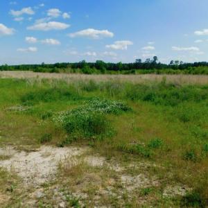 Photo of UNDER CONTRACT!  102 Acres of Hunting Land For Sale in Halifax County NC!