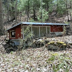 Photo of UNDER CONTRACT!  99 Acres of Hunting Land for Sale in Rockbridge County VA!