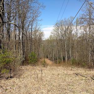 Photo of UNDER CONTRACT!  99 Acres of Hunting Land for Sale in Rockbridge County VA!