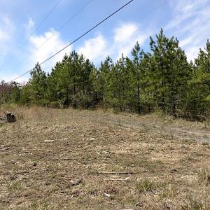 Photo of UNDER CONTRACT!  99 Acres of Hunting Land for Sale in Rockbridge County VA!