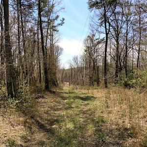 Photo of UNDER CONTRACT!  99 Acres of Hunting Land for Sale in Rockbridge County VA!