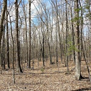 Photo of UNDER CONTRACT!  99 Acres of Hunting Land for Sale in Rockbridge County VA!
