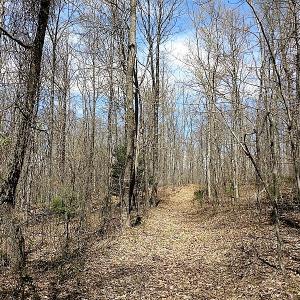 Photo of UNDER CONTRACT!  99 Acres of Hunting Land for Sale in Rockbridge County VA!