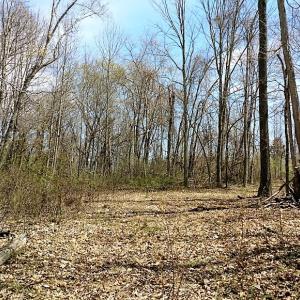 Photo of UNDER CONTRACT!  99 Acres of Hunting Land for Sale in Rockbridge County VA!