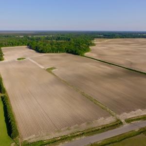 Photo of UNDER CONRACT!  36 Acres of Farm Land For Sale in Jones County NC!