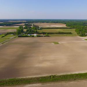 Photo of UNDER CONRACT!  36 Acres of Farm Land For Sale in Jones County NC!