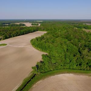 Photo of UNDER CONRACT!  36 Acres of Farm Land For Sale in Jones County NC!