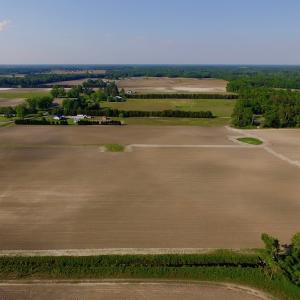 Photo of UNDER CONRACT!  36 Acres of Farm Land For Sale in Jones County NC!