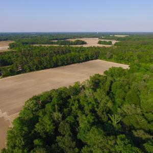 Photo of UNDER CONRACT!  36 Acres of Farm Land For Sale in Jones County NC!