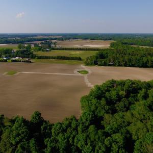 Photo of UNDER CONRACT!  36 Acres of Farm Land For Sale in Jones County NC!