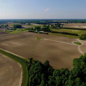 Photo of UNDER CONRACT!  36 Acres of Farm Land For Sale in Jones County NC!