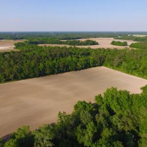 Photo of UNDER CONRACT!  36 Acres of Farm Land For Sale in Jones County NC!
