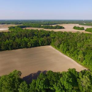 Photo of UNDER CONRACT!  36 Acres of Farm Land For Sale in Jones County NC!