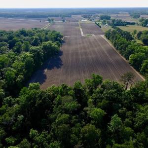 Photo of UNDER CONRACT!  36 Acres of Farm Land For Sale in Jones County NC!