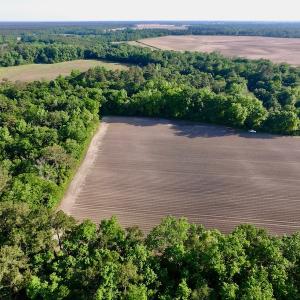 Photo of UNDER CONRACT!  36 Acres of Farm Land For Sale in Jones County NC!