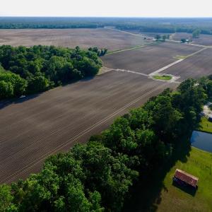 Photo of UNDER CONRACT!  36 Acres of Farm Land For Sale in Jones County NC!