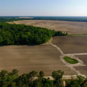 Photo of UNDER CONRACT!  36 Acres of Farm Land For Sale in Jones County NC!