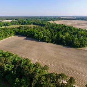 Photo of UNDER CONRACT!  36 Acres of Farm Land For Sale in Jones County NC!