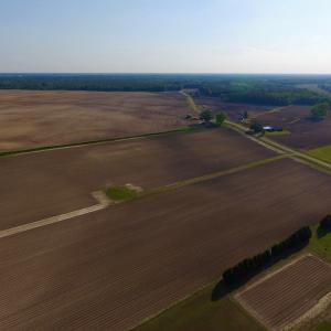 Photo of UNDER CONRACT!  36 Acres of Farm Land For Sale in Jones County NC!