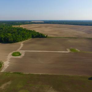 Photo of UNDER CONRACT!  36 Acres of Farm Land For Sale in Jones County NC!