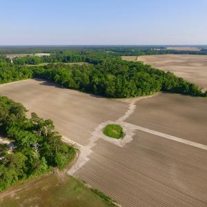 Photo of UNDER CONRACT!  36 Acres of Farm Land For Sale in Jones County NC!