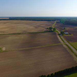 Photo of UNDER CONRACT!  36 Acres of Farm Land For Sale in Jones County NC!