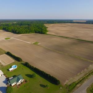 Photo of UNDER CONRACT!  36 Acres of Farm Land For Sale in Jones County NC!