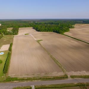 Photo of UNDER CONRACT!  36 Acres of Farm Land For Sale in Jones County NC!