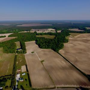 Photo of UNDER CONRACT!  36 Acres of Farm Land For Sale in Jones County NC!