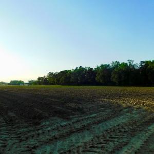Photo of UNDER CONRACT!  36 Acres of Farm Land For Sale in Jones County NC!