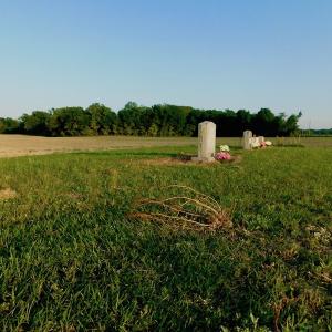 Photo of UNDER CONRACT!  36 Acres of Farm Land For Sale in Jones County NC!