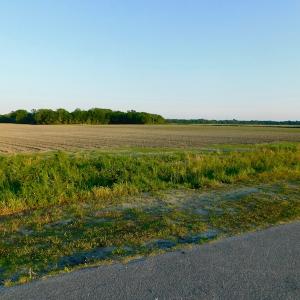 Photo of UNDER CONRACT!  36 Acres of Farm Land For Sale in Jones County NC!