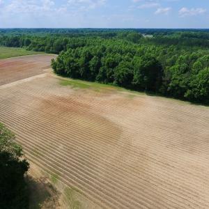 Photo of UNDER CONTRACT!  22.63 Acres of Farm and Hunting Land For Sale in Wilson County NC!