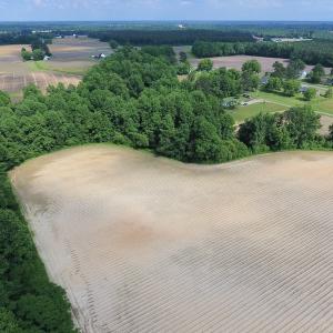 Photo of UNDER CONTRACT!  22.63 Acres of Farm and Hunting Land For Sale in Wilson County NC!