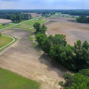 Photo of UNDER CONTRACT!  22.63 Acres of Farm and Hunting Land For Sale in Wilson County NC!