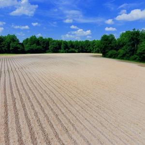 Photo of UNDER CONTRACT!  22.63 Acres of Farm and Hunting Land For Sale in Wilson County NC!