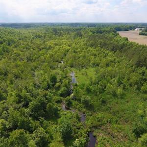 Photo of UNDER CONTRACT!  22.63 Acres of Farm and Hunting Land For Sale in Wilson County NC!