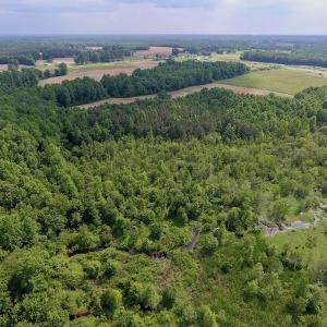 Photo of UNDER CONTRACT!  22.63 Acres of Farm and Hunting Land For Sale in Wilson County NC!
